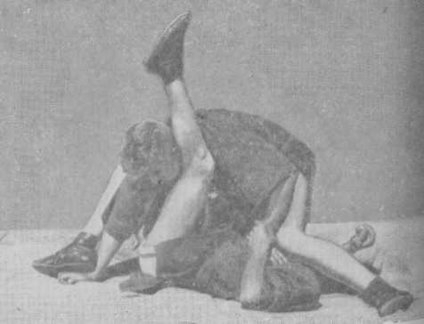   19.  .