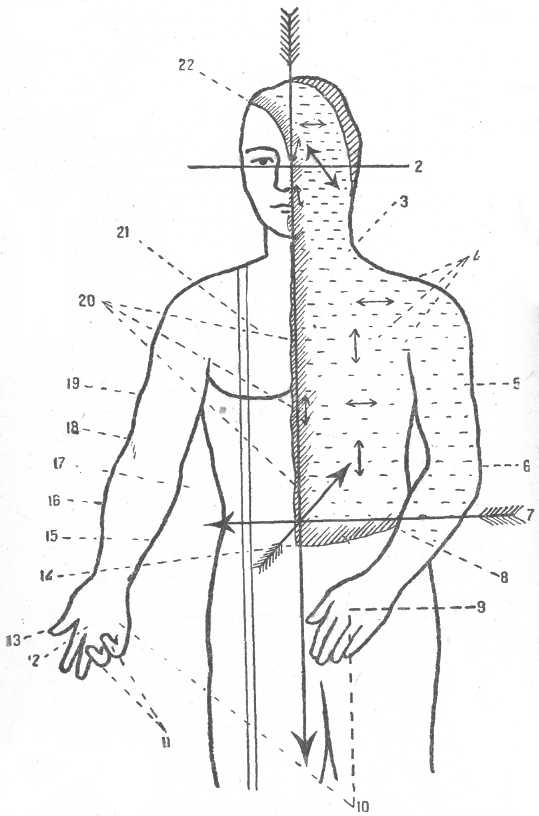 Рис. 408. Схема осей и плоскостей в теле человека (по проф. В. Воробьеву).