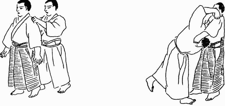 144. : ,  